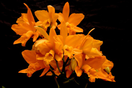 853459 (a): :2700x1800
